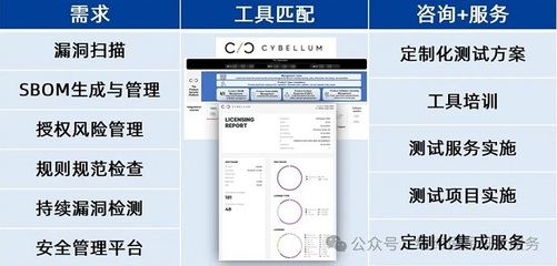 基于信息安全的軟件測試工具鏈解決方案與風險管理咨詢服務
